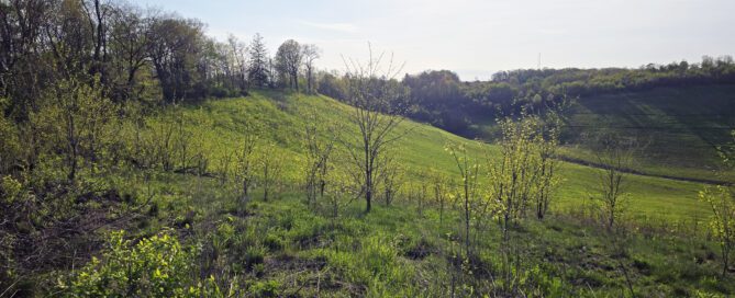 Amerikhol Gardner Quarry.