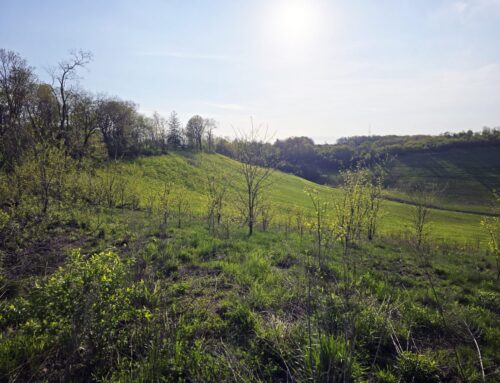 Gardner Site – Stands As A Powerful Testament To Our Mission